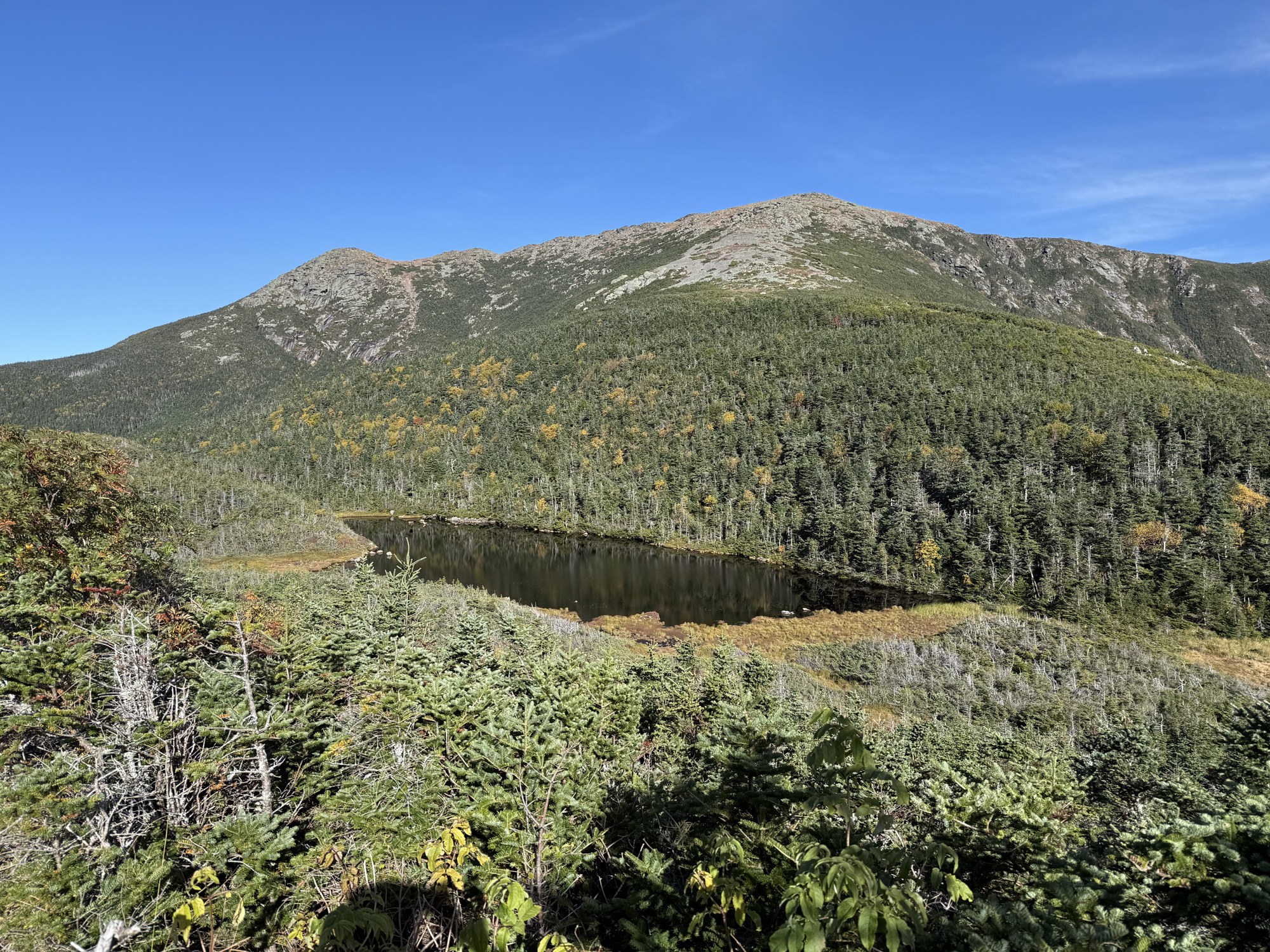 A mountain view across the pond.